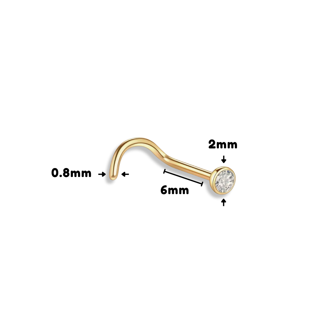 Titanium Nose Piercing