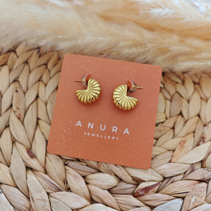 Ammonite Studs