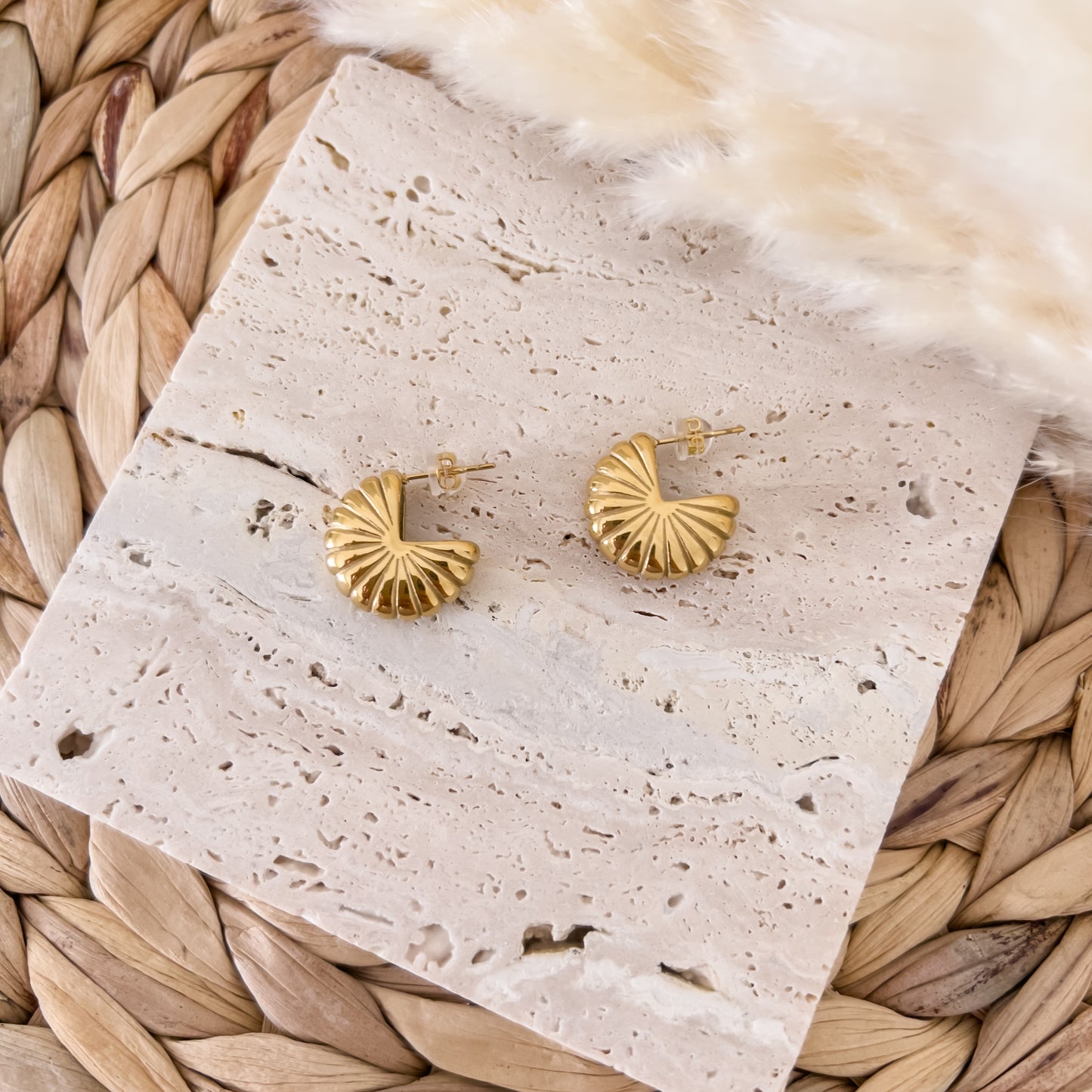 Ammonite Studs