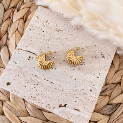 Ammonite Studs