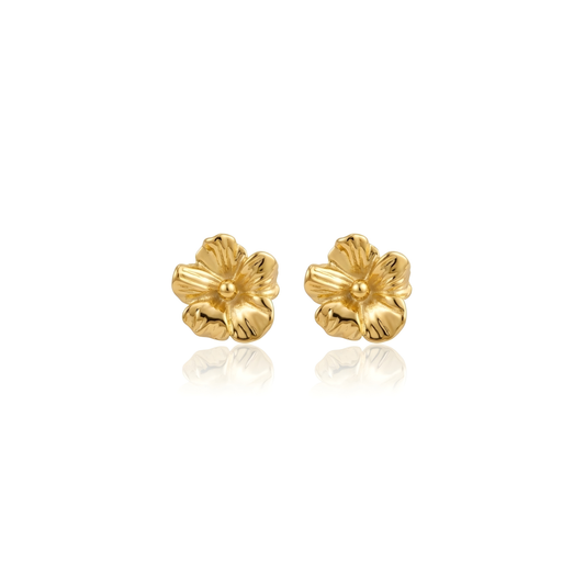 Hibiscus Studs