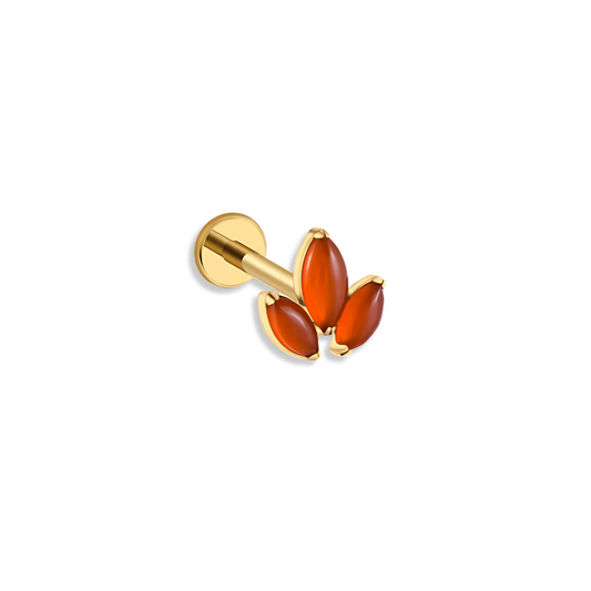 Titanium Dark Orange Crown Piercing